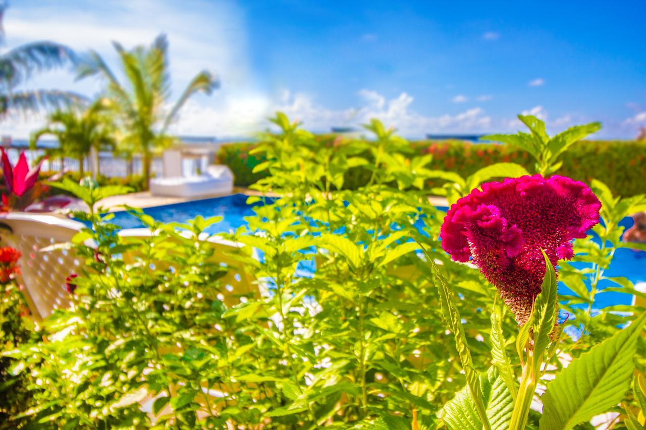 Hotel Aria Manzanillo Cartagena ภายนอก รูปภาพ